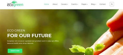 25 Non Profit Website Templates for Not For Profit .